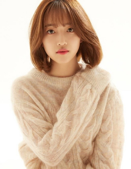 [팬 스타즈컴퍼니]